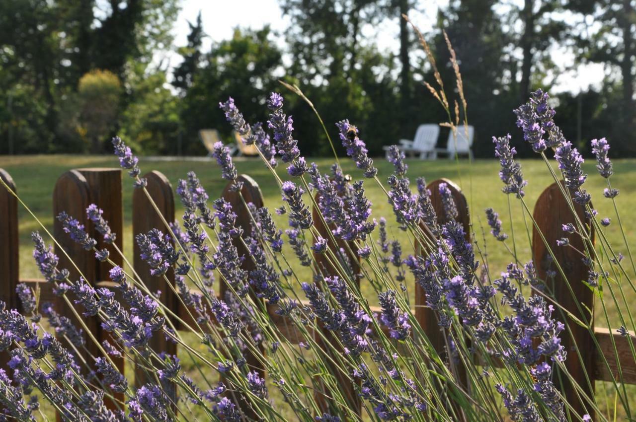 Agriturismo Testalepre 基安蒂格雷夫 外观 照片